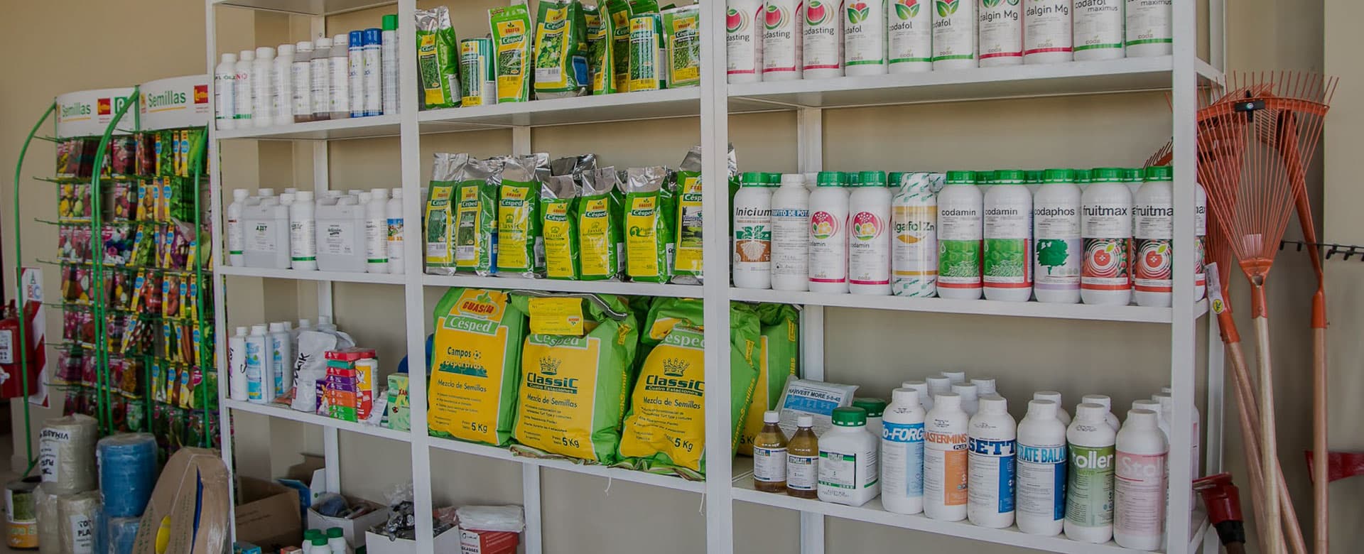 Góndola de productos en el local